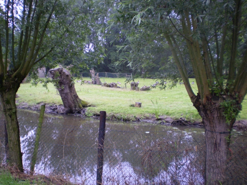 Lith 2008 (55)